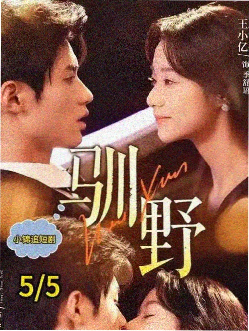 急诊夜班剧集封面